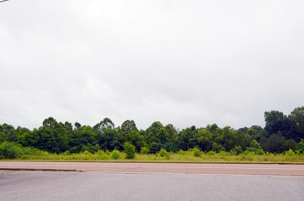 Listing Photo 131629