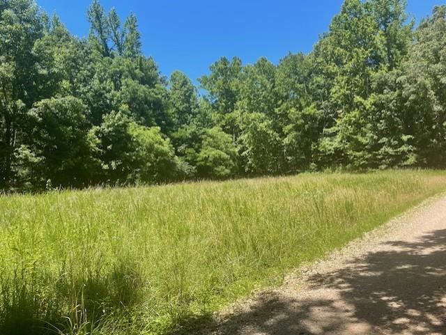 Listing Photo 134317