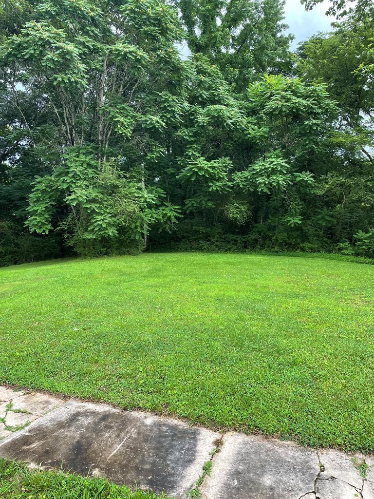 Listing Photo 134337