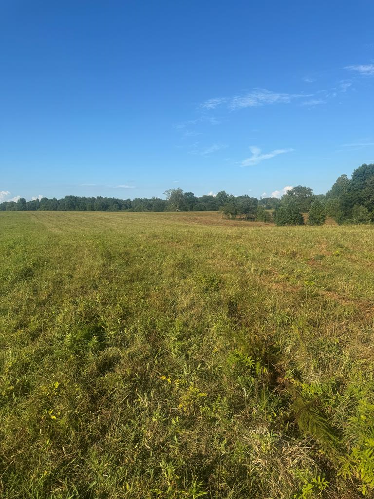 Listing Photo 134631