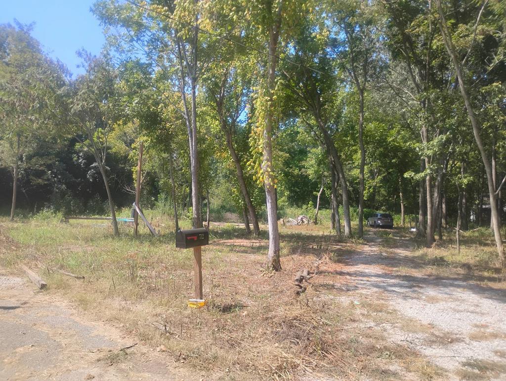 Listing Photo 134646