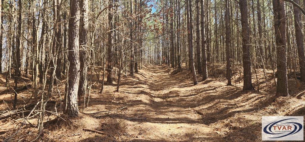 Listing Photo 134808