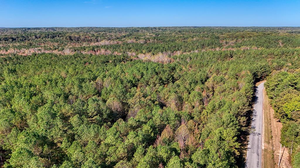 Listing Photo 134940